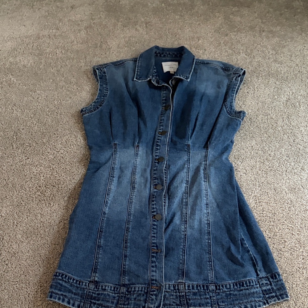 Habitual Blue Denim Button-Down Mini Dress